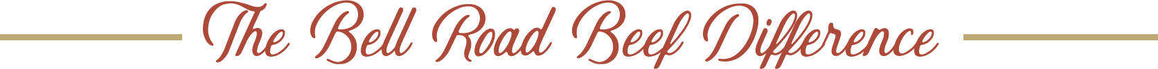 The-Bell-Road-Beef-Ddifference (1)